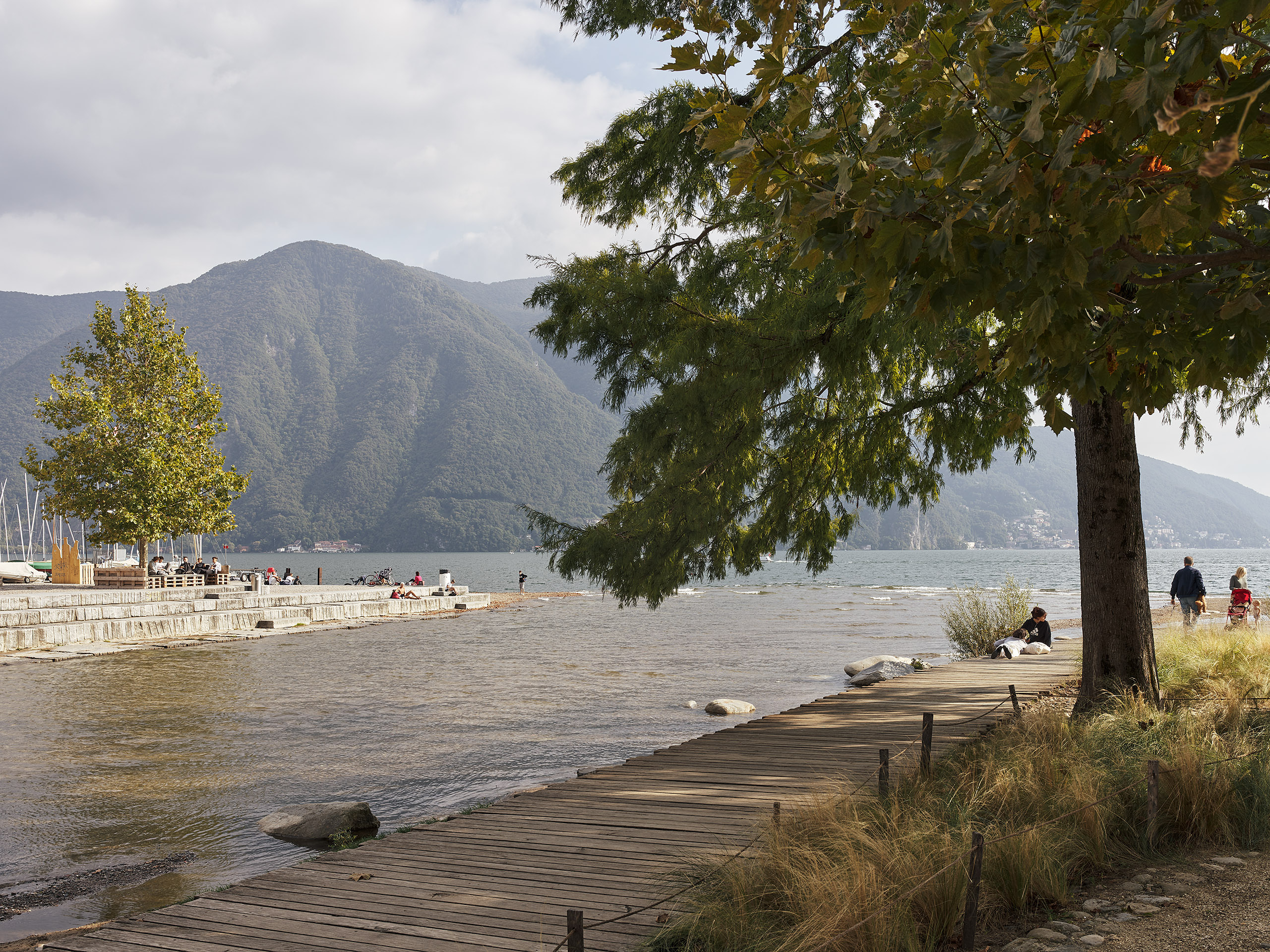 Ahp0053 CASS AIQ4 002411 C